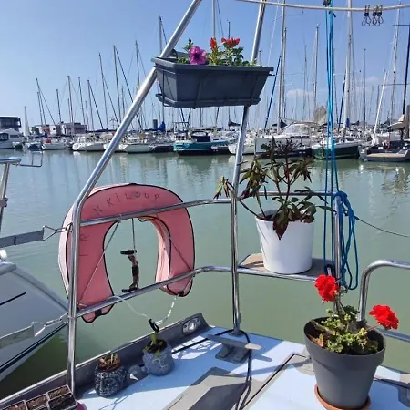 Sailboat Land And Sea, Vegetated
